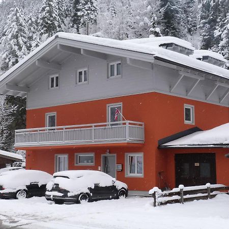 Alpen Appartements Viehhofen - Incl Sommercard Zell Am See 비에호펜 외부 사진