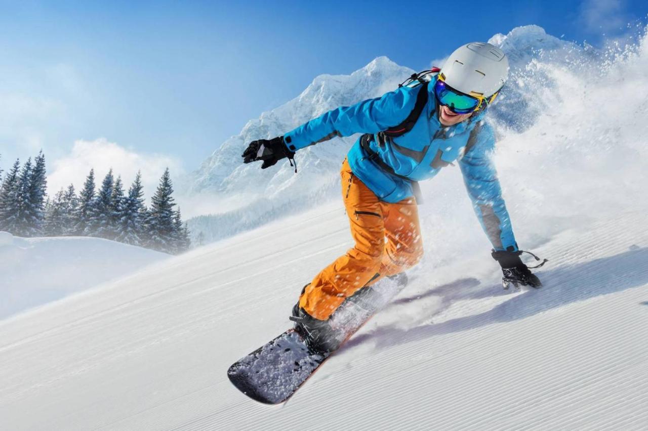 Alpen Appartements Viehhofen - Incl Sommercard Zell Am See 비에호펜 외부 사진