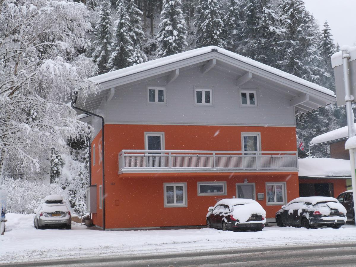 Alpen Appartements Viehhofen - Incl Sommercard Zell Am See 비에호펜 외부 사진