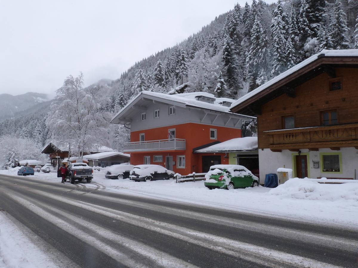Alpen Appartements Viehhofen - Incl Sommercard Zell Am See 비에호펜 외부 사진