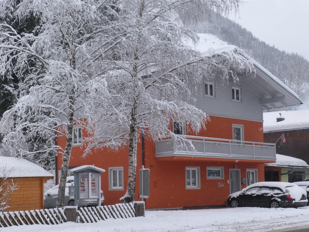 Alpen Appartements Viehhofen - Incl Sommercard Zell Am See 비에호펜 외부 사진