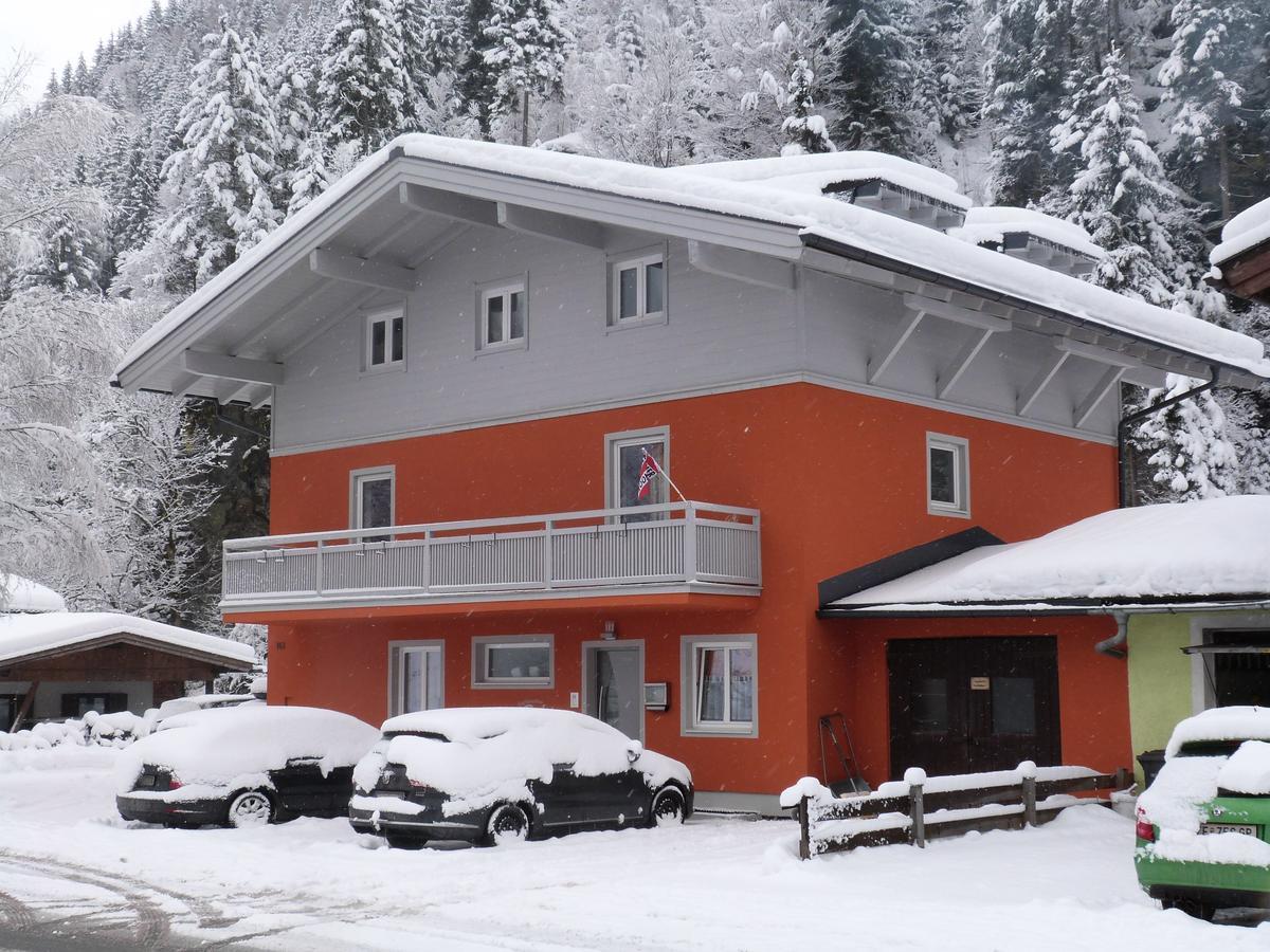 Alpen Appartements Viehhofen - Incl Sommercard Zell Am See 비에호펜 외부 사진