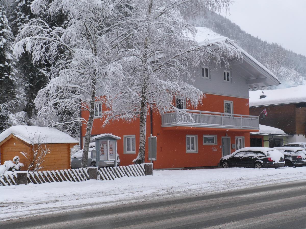 Alpen Appartements Viehhofen - Incl Sommercard Zell Am See 비에호펜 외부 사진