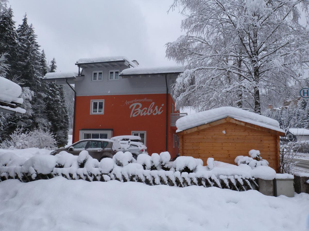 Alpen Appartements Viehhofen - Incl Sommercard Zell Am See 비에호펜 외부 사진