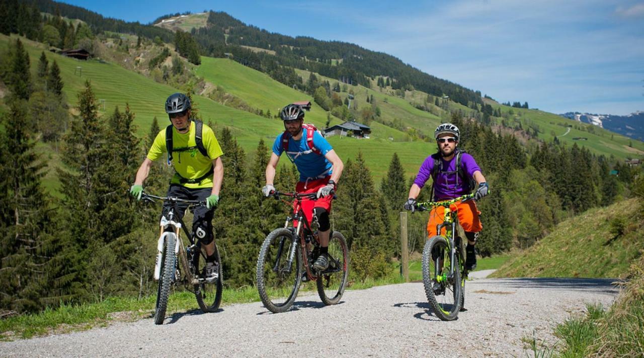 Alpen Appartements Viehhofen - Incl Sommercard Zell Am See 비에호펜 외부 사진