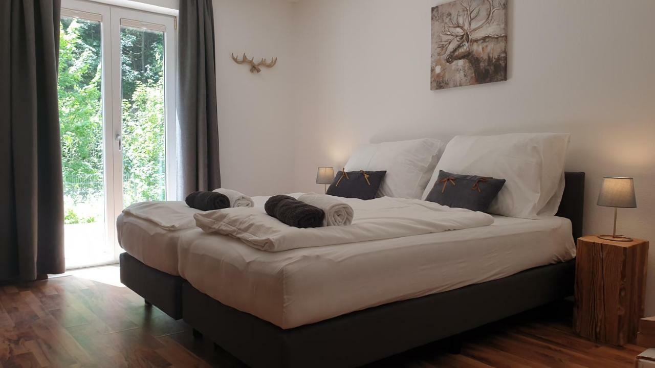 Alpen Appartements Viehhofen - Incl Sommercard Zell Am See 비에호펜 외부 사진